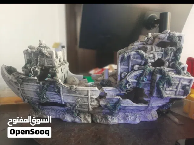 large two piece shipwreck
