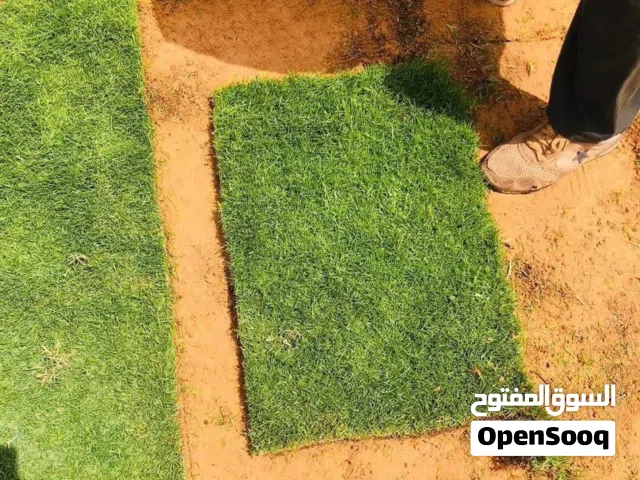 معشب طبيعي