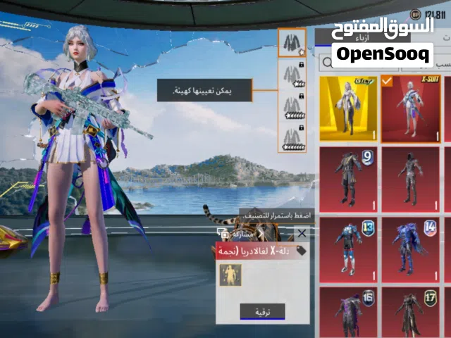 Pubg Accounts and Characters for Sale in Hebron