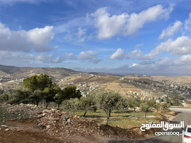 Residential Land for Sale in Zarqa Birayn