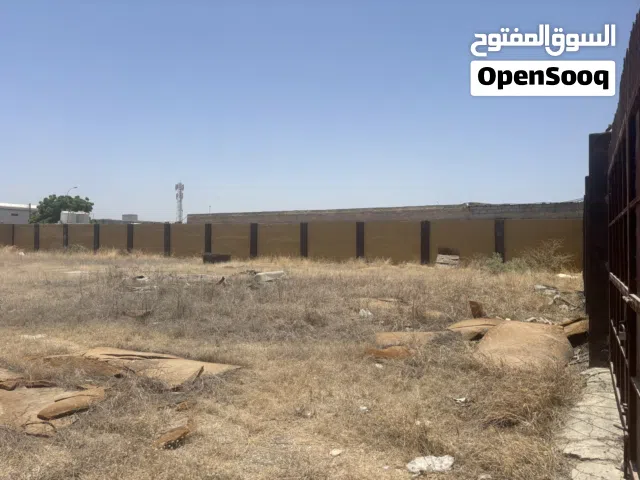 Prime Commercial Land Available for Lease in Sanaya – Road Facing