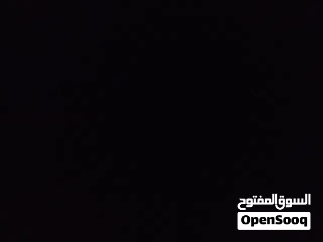 مطلوب دجاج براهما زوز دجاجات وفروج تبديل كوبيا باقلينو تحتها زوز فروخ ويكونوا دجاجات اقرا المواصفات