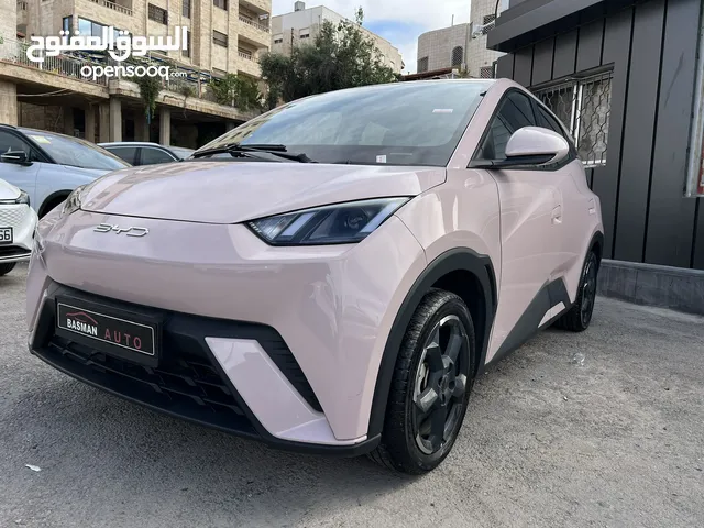 BYD SEAGULL FULL ELECTRIC 2023
