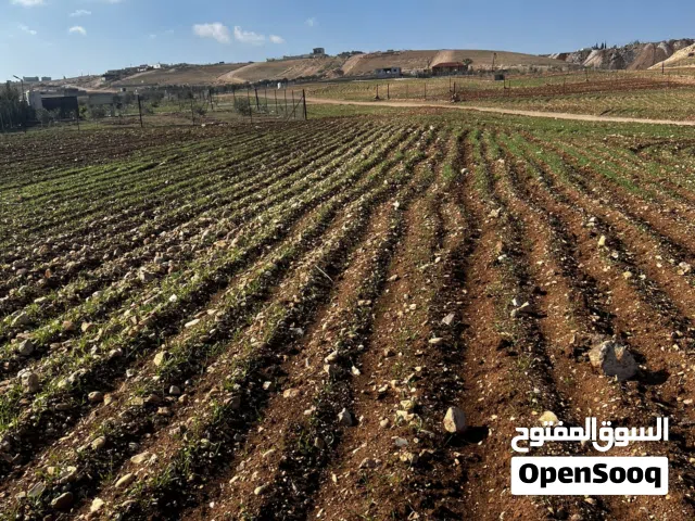 قطعة ارض للبيع _____سال /حوض القدير قوشان مستقل