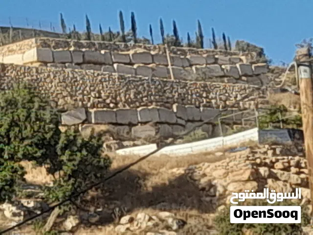 Mixed Use Land for Sale in Hebron Tapuah