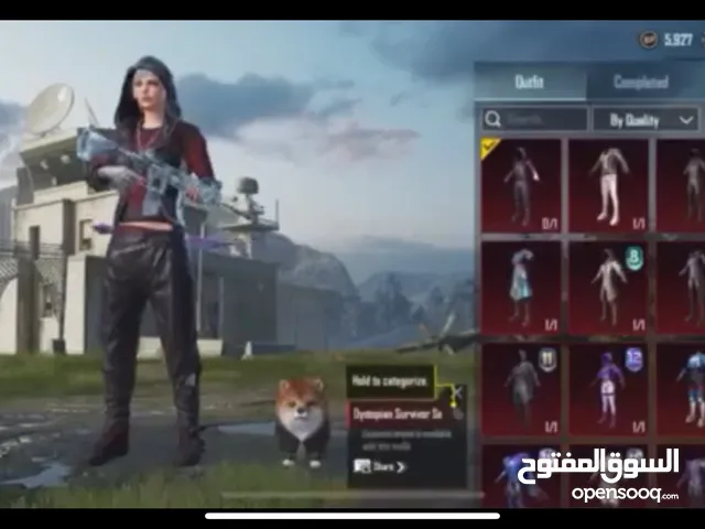 Pubg Accounts and Characters for Sale in Al Wakrah
