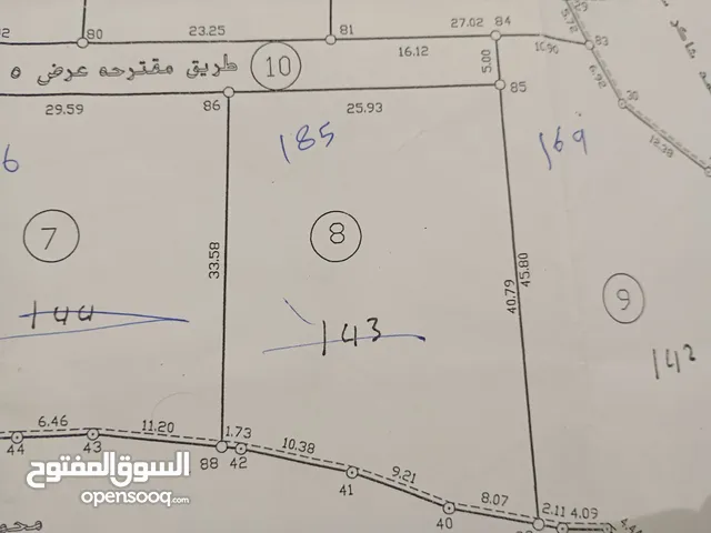 ارض عيصى وادي الزرزير