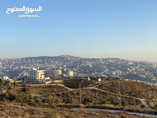 Residential Land for Sale in Nablus Zawata