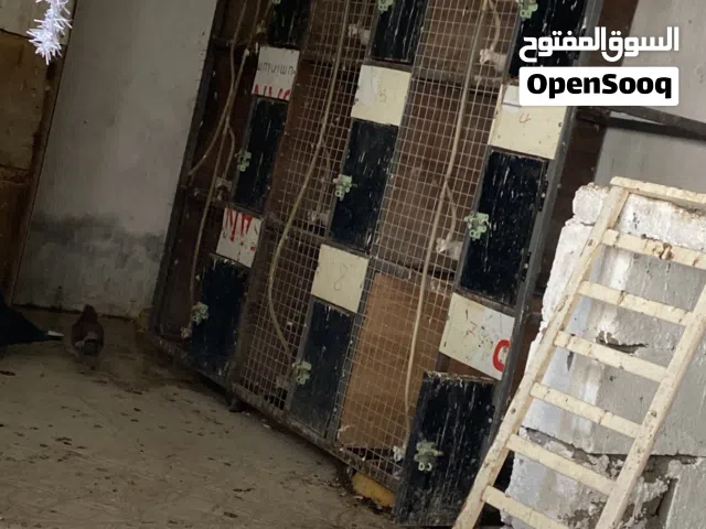 خانات حمام