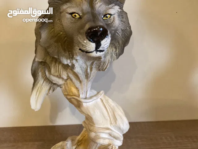 رأس الذئب الأمريكي