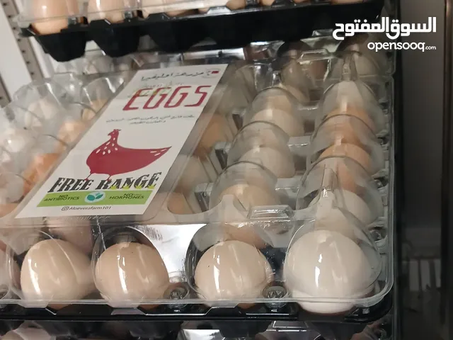 بيض بلدي طبيعي عضوي مزرعه اوليفيرا العين ابو ظبي