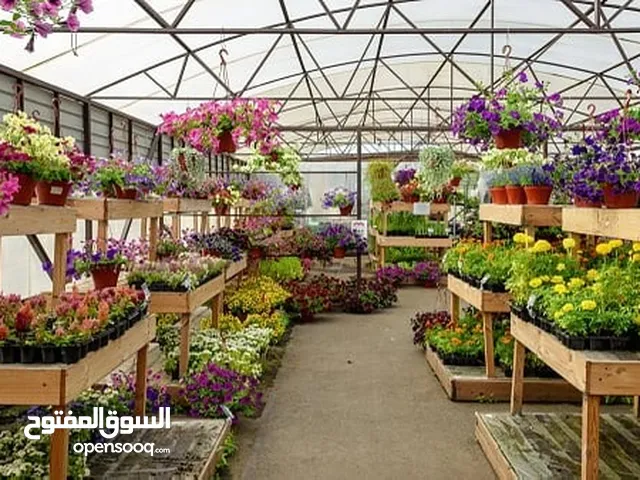 مشروع داخل الأردن