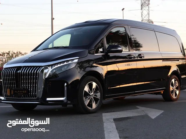 Mercedes Benz V260 2.0L 2024 PTR