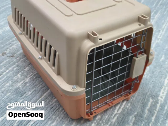 قطط منزليه للبيع