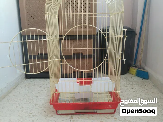 قفص كاسكو كبير لون ذهبي للبيع بحال الوكاله