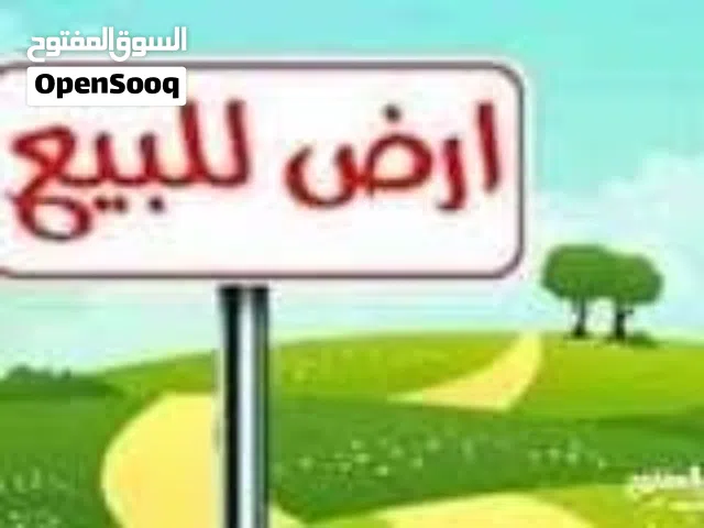 ارض للبيع في الجفينة بجنب مسجد مسجد زيد بن حارتة