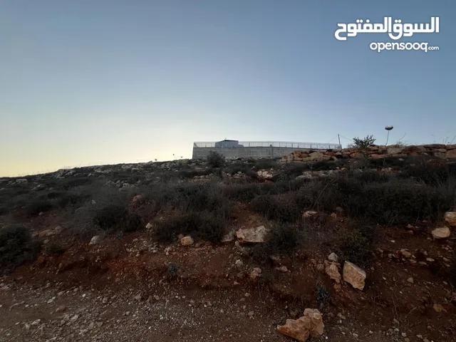 ارض للبيع بسعر مغري صالحه للزراعه والبناء ولكل شيء