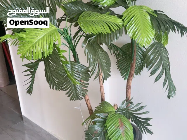 2 شجرة صناعي لون اخضر