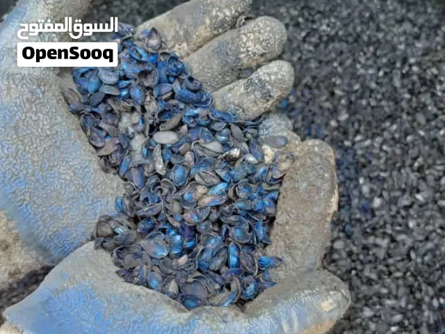 كربون قشرة الفستق من الدرجة التصديرية