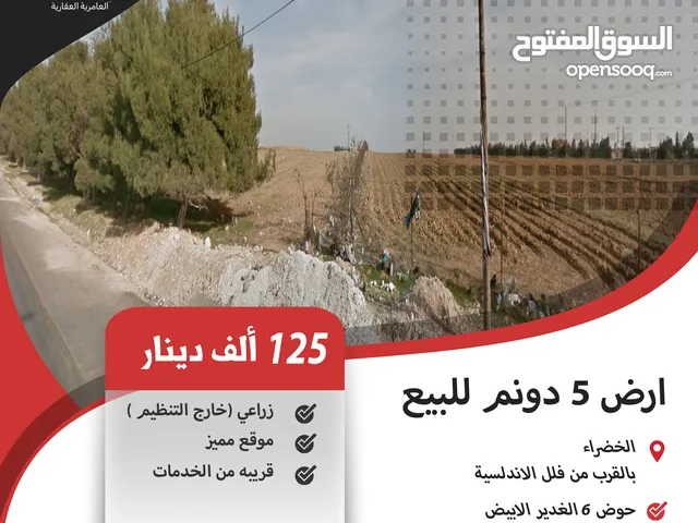 Farm Land for Sale in Amman Al-Khadra'