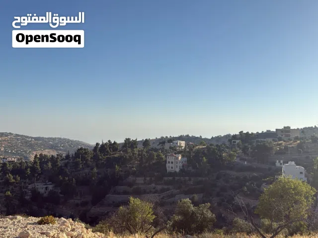 Residential Land for Sale in Amman Al Bassah