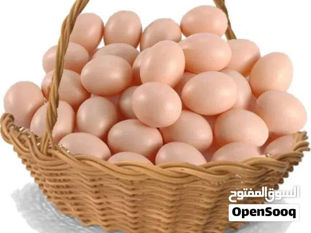 دحي عربي مخلظ