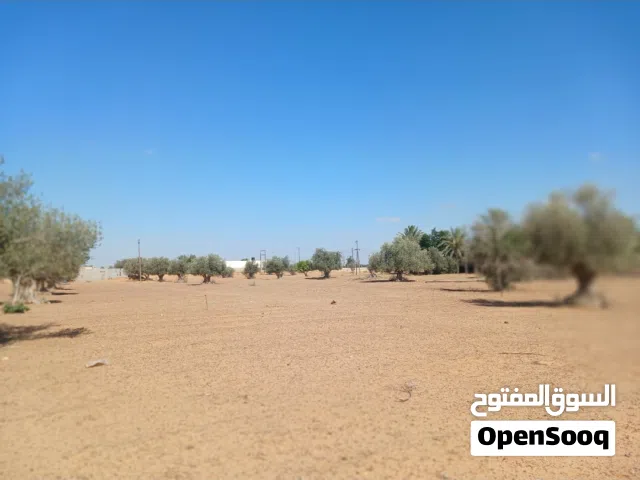 قطع اراضي للبيع  التفاصيل  المساحه 2000 متر كل 1000متر بروحه   سعر 1000 105 الف دينار