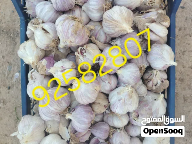 ثوم عماني للبيع