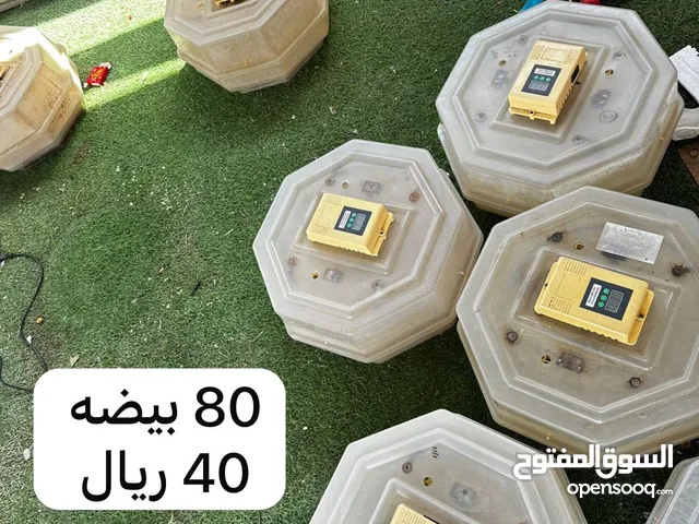 للبيع انواع الفقاسات بدون اعطال والسعر ثابت وعدم الازعاج كل شي واضح فلأعلان وفصور