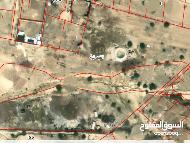 land for sale ( Property 42164 )-174714074