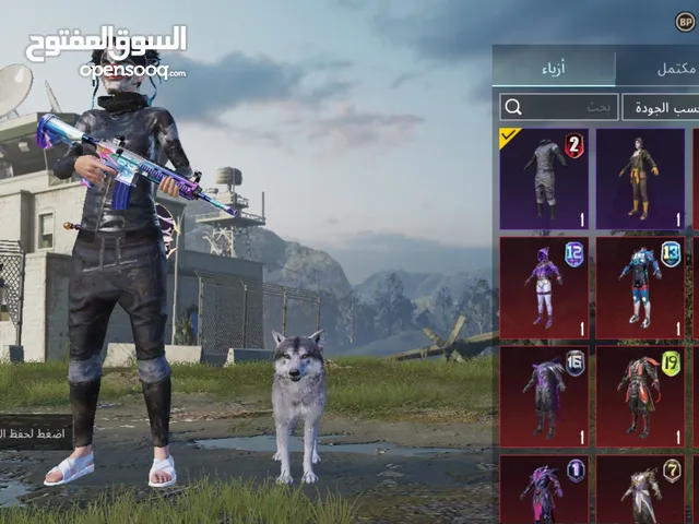 Pubg Accounts and Characters for Sale in Jenin
