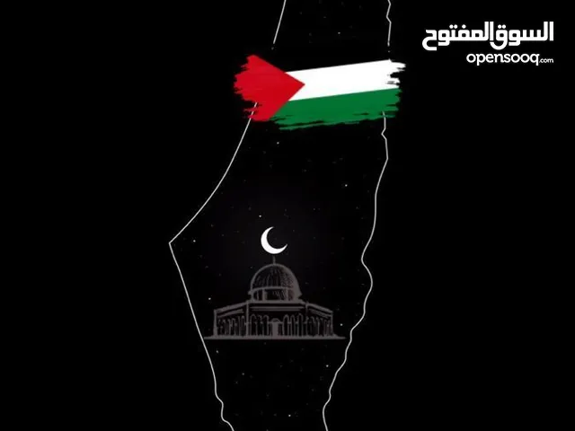 زين الدين يوسف سويطي