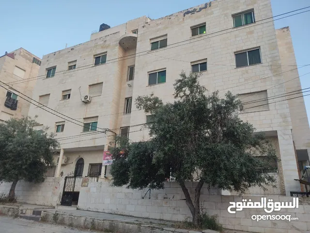 غرف مفروشة في سكن طالبات - اربد -شارع الجامعة مقابل بوابة الآثار شقة مجددة مفروشة فرش جديد