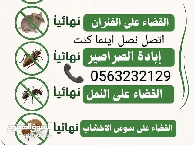 شركة مكافحة حشرات بجدة رش مبيدات الآفات رش مبيدات الحشرات مكافحة شاملة لجميع انواع الحشرات بجدة