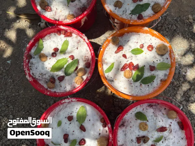 مالح جيذر كبار 7 حبات