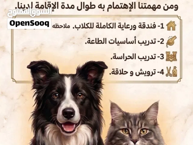فندقة وتدريب كلاب جدة