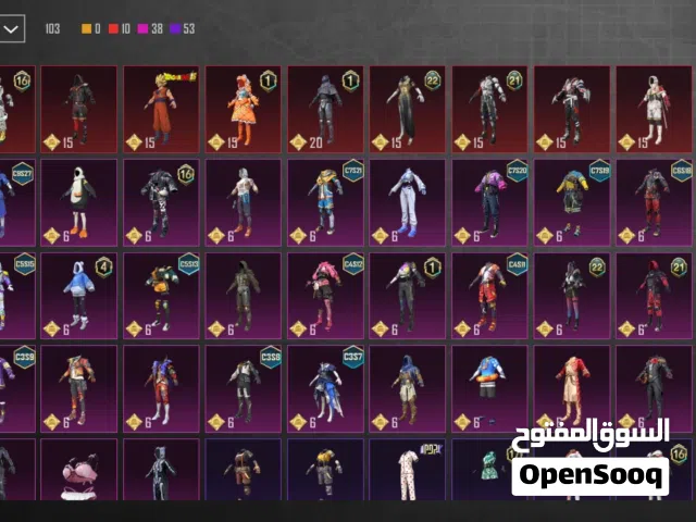 Pubg Accounts and Characters for Sale in Irbid