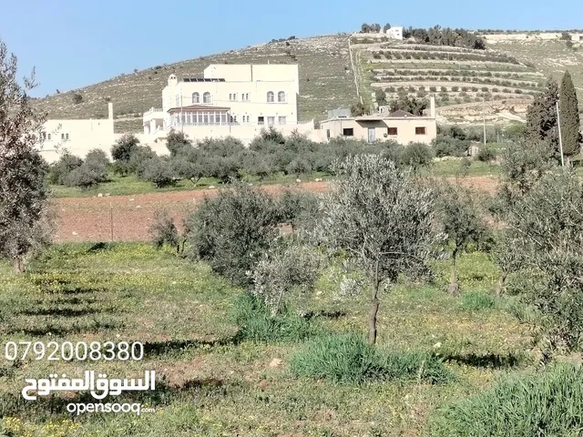 Farm Land for Sale in Jerash Dahl
