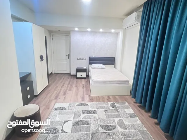 شقه فندقيه بالمهندسين اول سكن