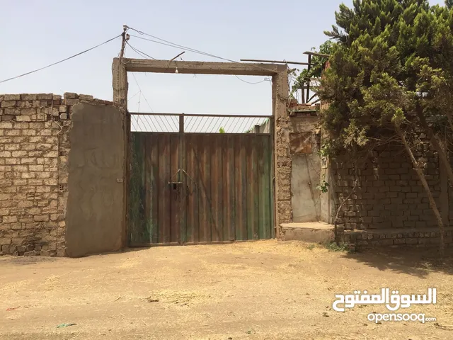 المنوفيه الخضرا نزله كوبري الدغيدي بجوار فيلا ولاد الحلال