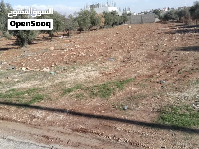 أرض للبيع في الفيصلية بسعر مغري