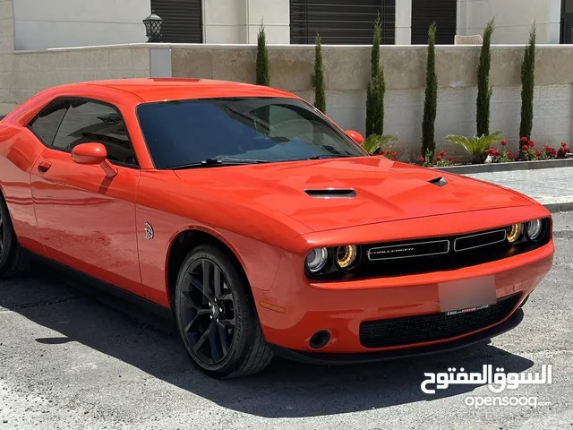 Used Dodge Challenger in Amman