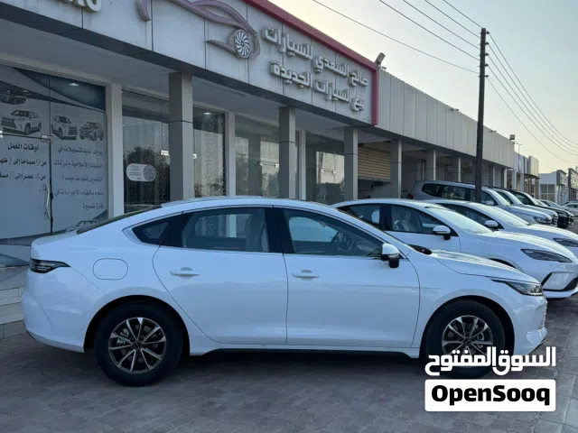 2025 بي واي دي ديستروير
