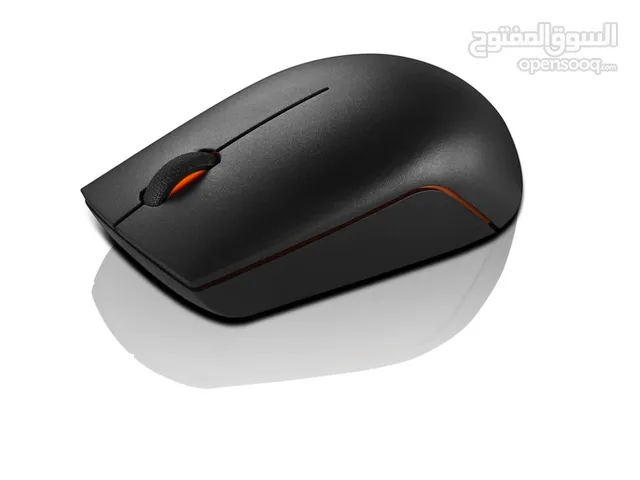 LENOVO 300