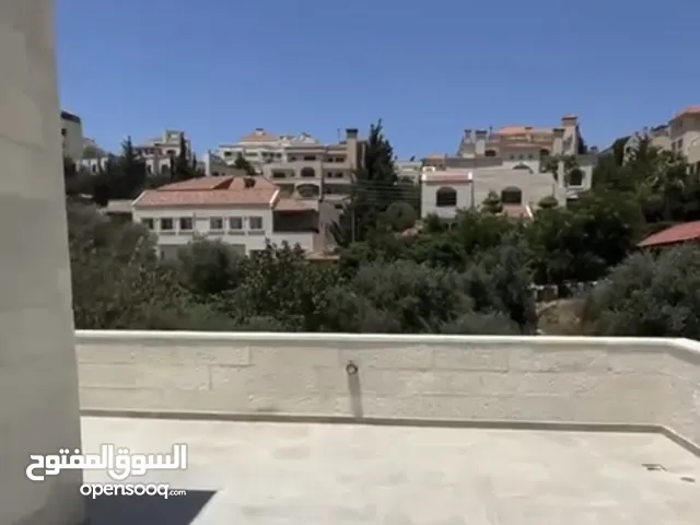 شقة روف مميزة في دابوق بسعر لقطة