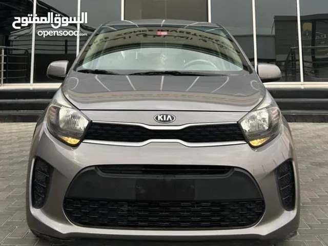 كيا بيكانتو 2019 محرك 1250 جمرك وفحص للبيع باقل سعر