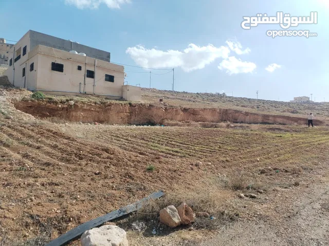 Residential Land for Sale in Zarqa Graiba