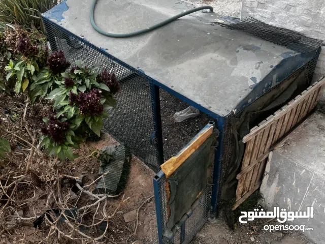 قفص دجاج كلاب للبيع حط سعر معقول و خذه