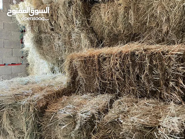 بال عشبة للبيع