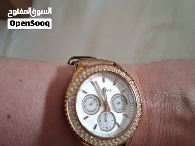 Multicolor Fossil for sale in Amman
